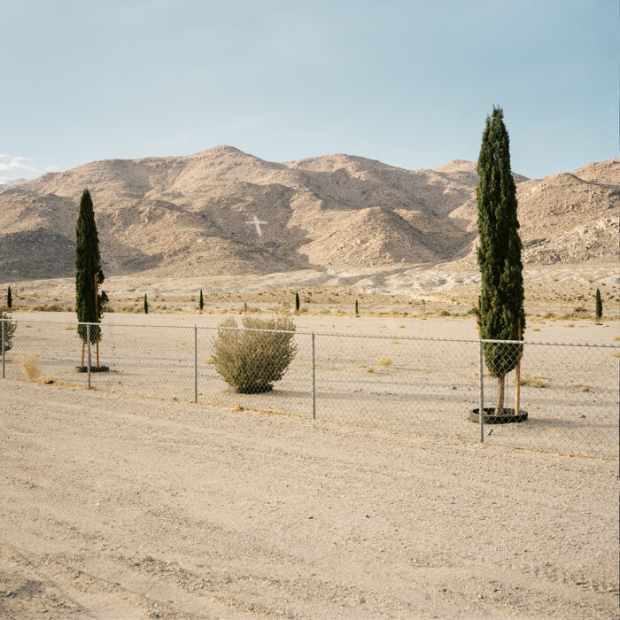 Death Valley image-5